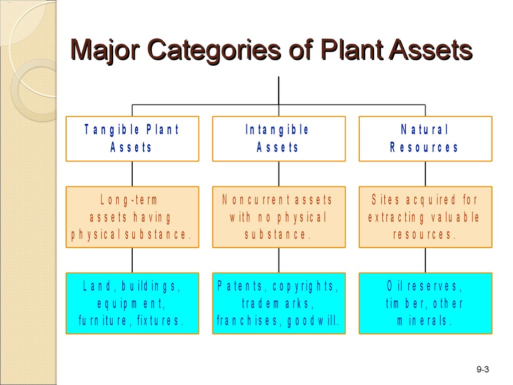 Discover Plant Assets: The Foundation for Thriving Operations - Plant ...