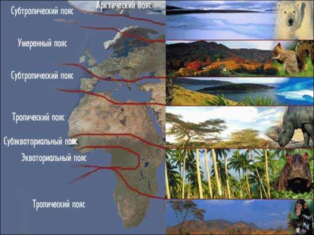 Евразия зональные и азональные природные комплексы. Азональные природные комплексы. Эфиопская область презентация. Природные комплексы Африки. Зональные и азональные природные комплексы.