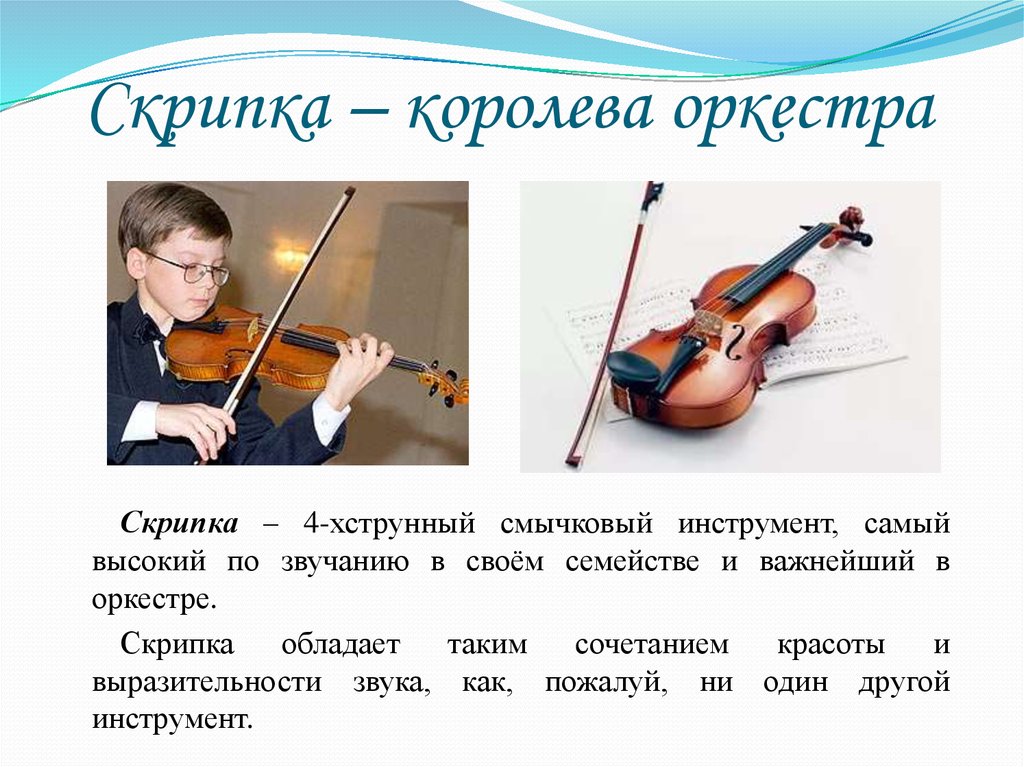 Сообщение о скрипке по музыке. Инструменты симфонического оркестра. Скрипка для презентации. Слайд с о скрипкой. Инструменты симфонического оркестра скрипка.