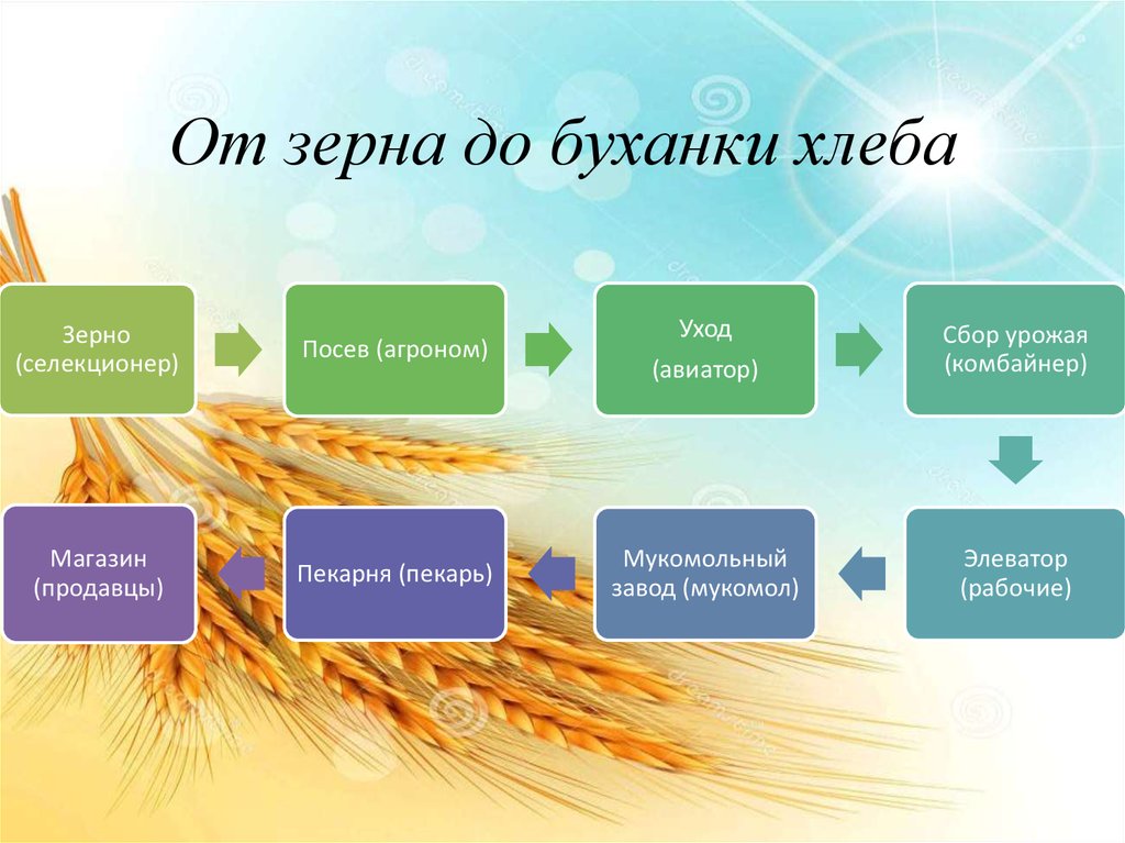 Производственная цепочка окружающий мир 2 класс. Цепочка производства хлебобулочных изделий. Цепочка от зерна до хлеба. Путь от зерна к хлебу. Цепочка изготовления хлебобулочных изделий.