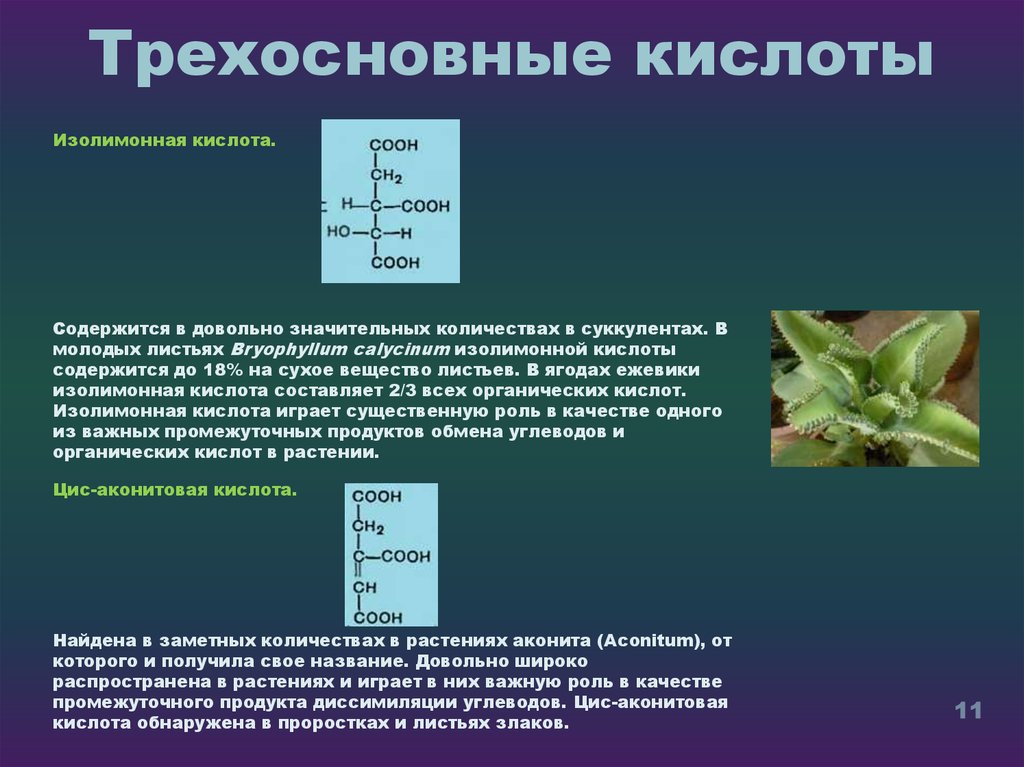 Трехосновная кислота примеры. Трехосновные кислоты. Трехосновная органическая кислота. Трехосновные ароматические кислоты. Трехосновные карбоновые кислоты.