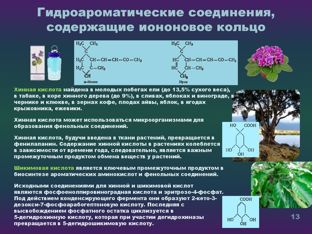 Содержащие соединения. Шикимовая кислота в растениях. Хинная кислота. Хинная кислота формула. Хинная кислота структурная формула.