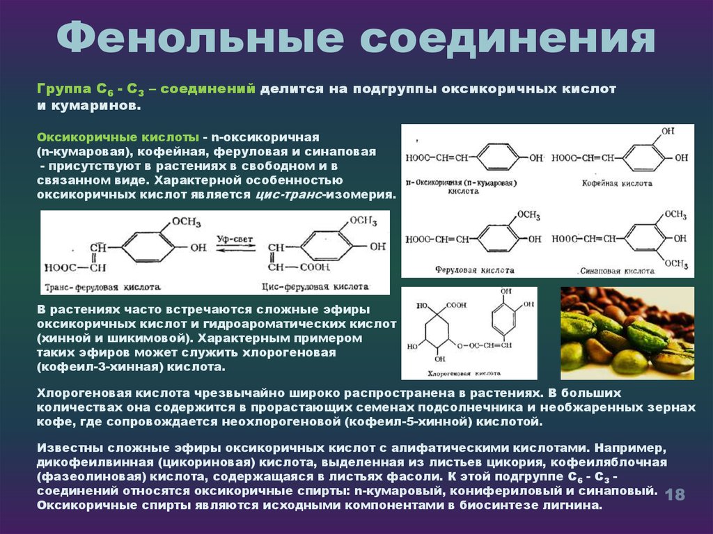 Растительная кислота. Фенольные соединения. Синаповая кислота. Фенольные соединения группы. Фенольные соединения в растениях.