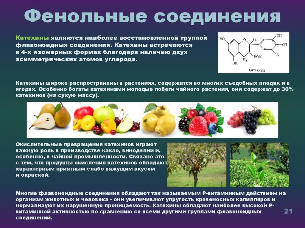 Соединение продуктов. Фенольные соединения. Фенольные вещества растений. Классификация фенольных веществ. Фенольные соединения в растениях классификация.