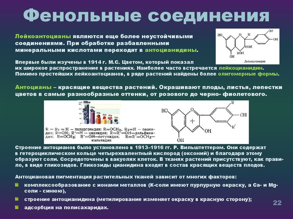 Фенольные соединения фото