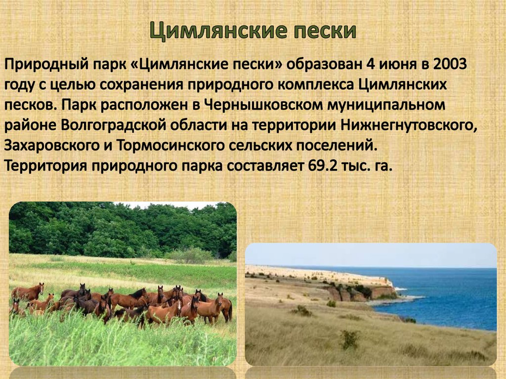 Цель создания природных парков. Заповедник Цимлянские Пески Волгоградской области. Цимлянские Пески природный парк Волгоградской области животные. Волгоград природный парк «Цимлянские Пески». Природные парки Цимлянские Пески.