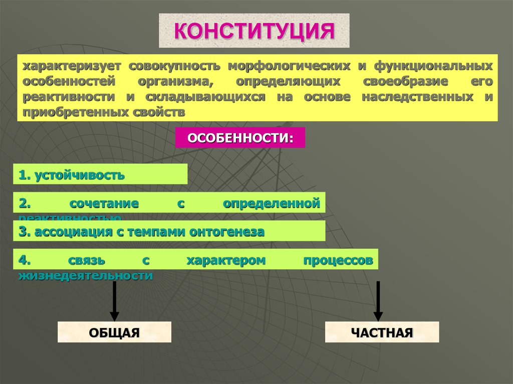 Признаки характеризующие конституцию