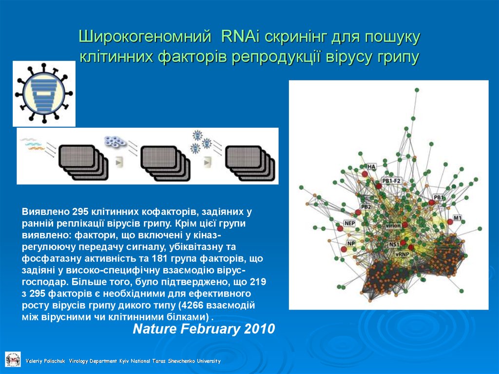 Широкогеномний RNAi скринінг для пошуку клітинних факторів репродукції вірусу грипу