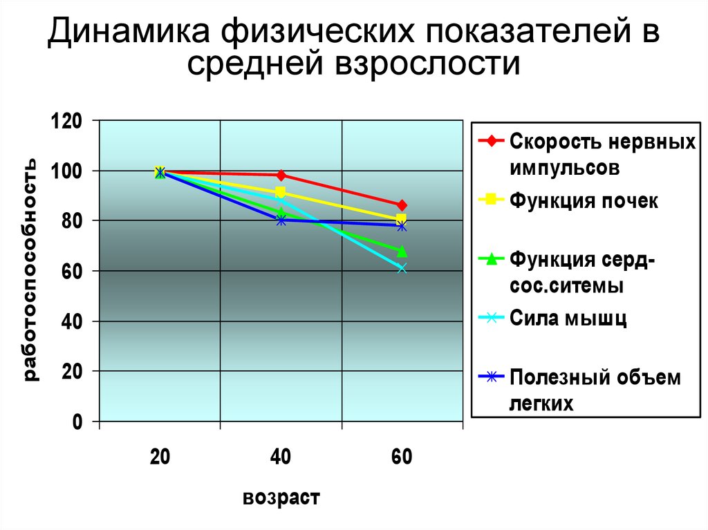 Физическая динамика