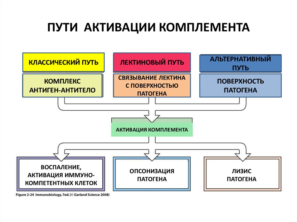 Классический путь активации