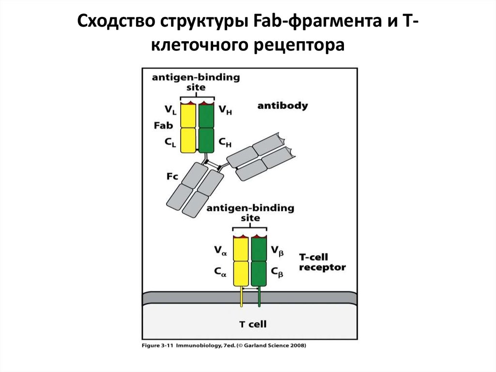 Совпадение состав