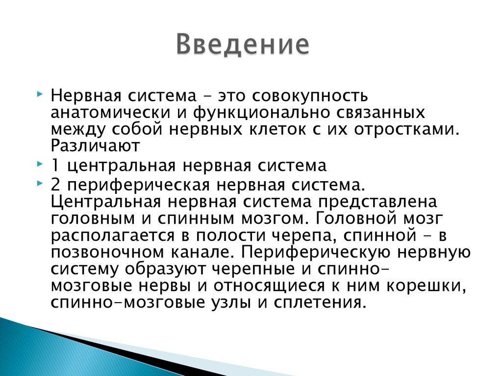 Функционально связаны между собой. Введение в нервную систему. Нервная система проект Введение. Центральная нервная система это совокупность. 22.Совокупность знаков, функционально связанных между собой, – это.