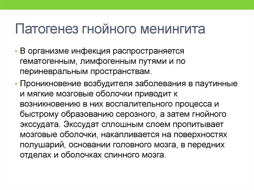 Гнойный менингит. Гнойный менингит патогенез. Патогенез серозного менингита. Гнойный менингит Патонен. Гнойный менингит этиология.