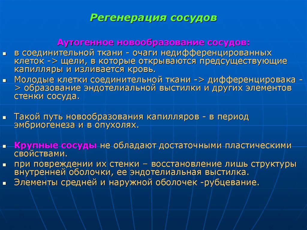 Регенерация. Регенерация артерий и вен. Регенерация кровеносных сосудов гистология. Регенерация артерий гистология.