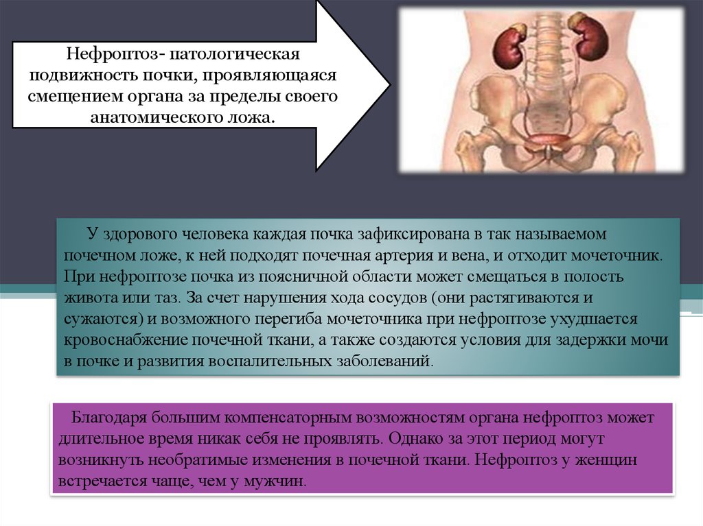 Почки киста какая диета