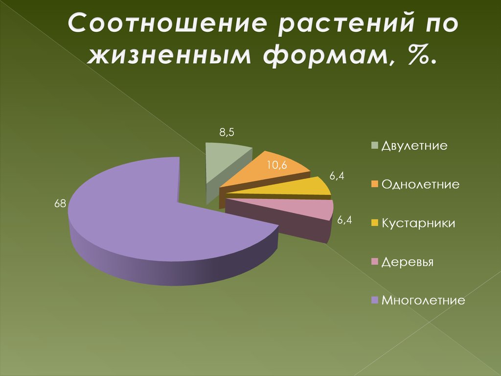 Процентное соотношение животных. Соотношение растений и животных в океане в процентном отношении.