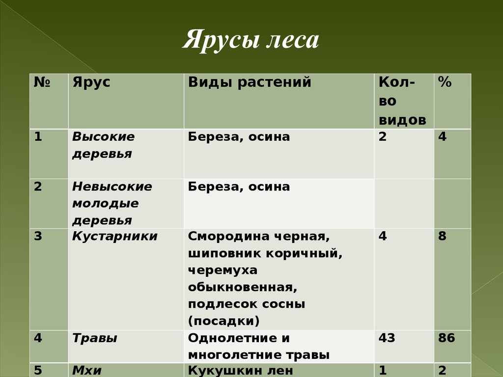 Ярусы растений в лесу. Ярусы растений. Ярусы леса. Ярусы леса таблица. Ярусы растительности таблица.