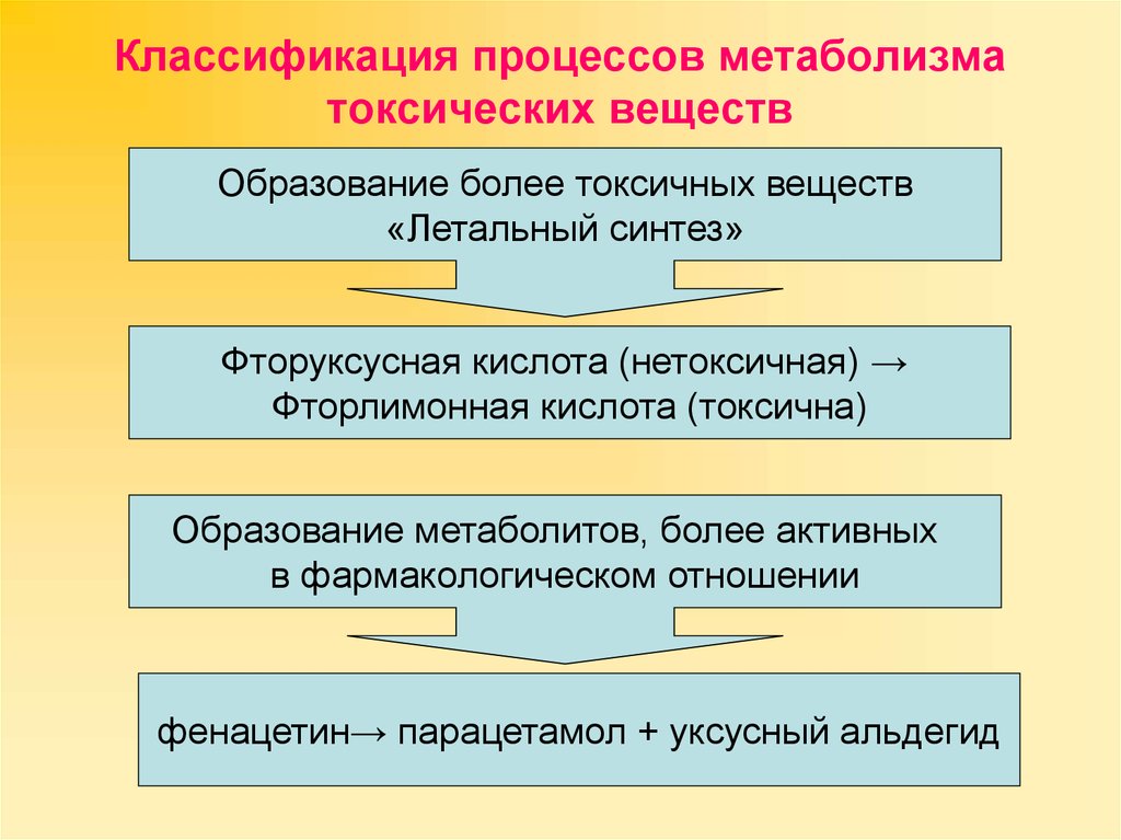 3 процесса обмена веществ