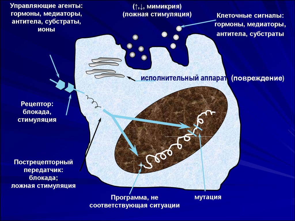 Повреждение клетки патофизиология презентация