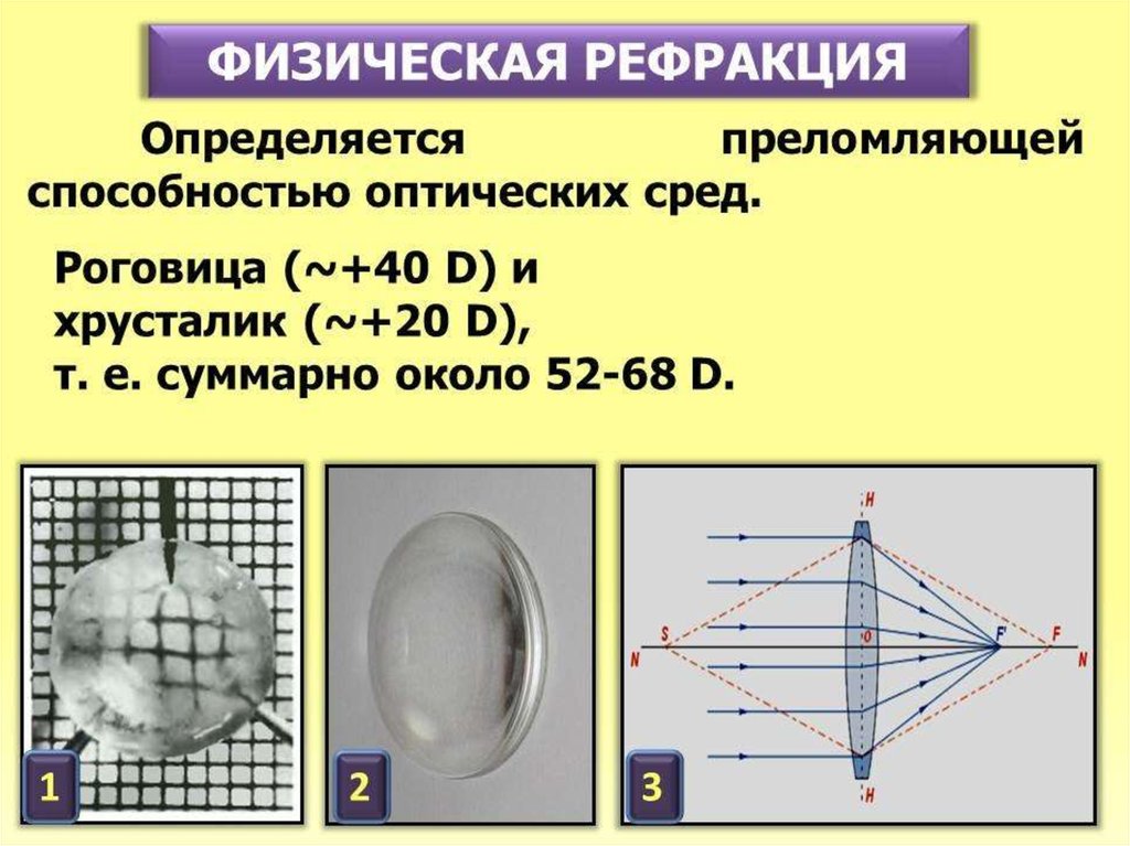 Зрительные функции. Оптические среды глаза преломляющие. Оптические среды глаза преломляющая сила. Преломляющая способность сред глаза. Структуры преломляющие среды глаза.