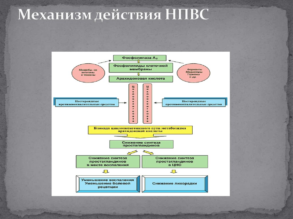 Нестероидные противовоспалительные препараты механизм. Схема действия НПВС. Механизм действия анальгетического действия НПВС. Противовоспалительные препараты механизм действия. Механизм действия НПВП схема.