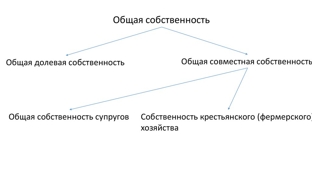 Общая собственность проблемы