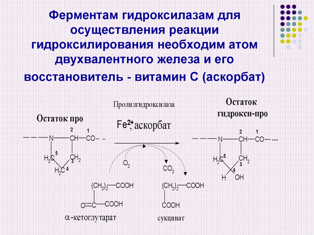 Гидролазы реакции. Лизил-5-гидроксилаза кофермент витамина. Гидроксилирование пролина реакция. Реакция гидроксилирования витамина с. Реакции гидроксилирования биохимия.
