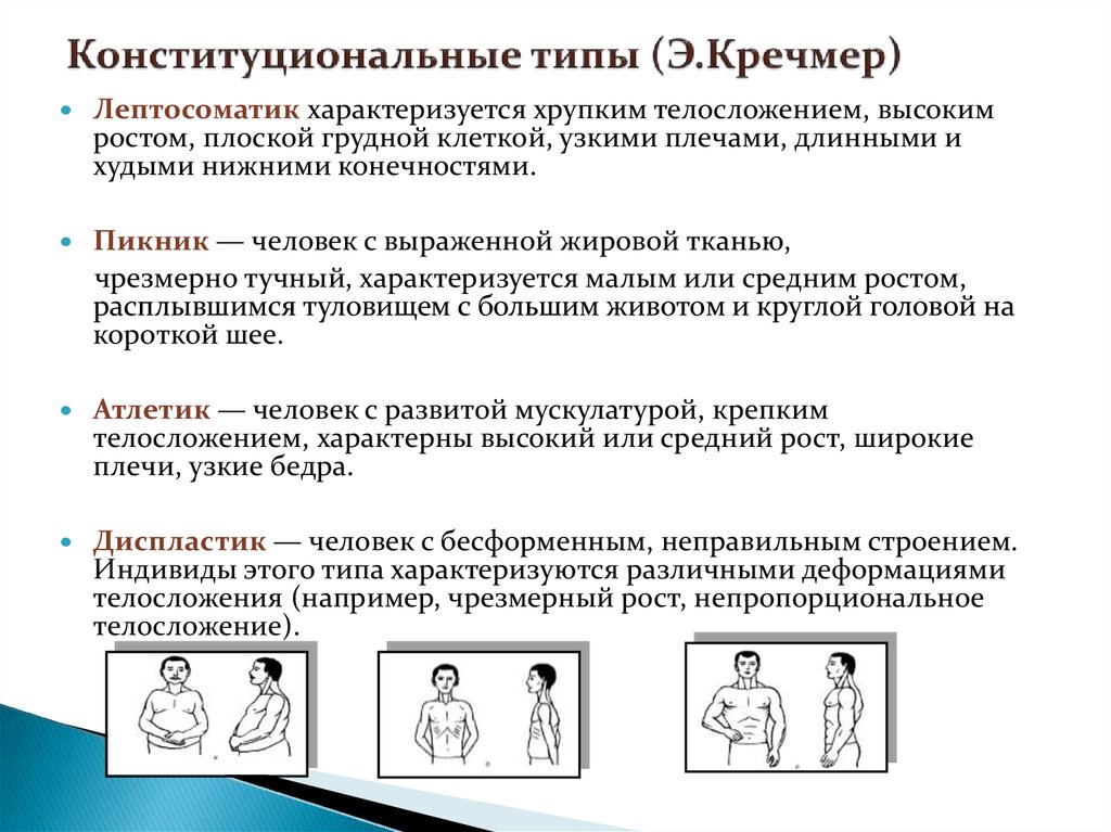 Психосоматические конституциональные схемы э кречмера и у шелдона