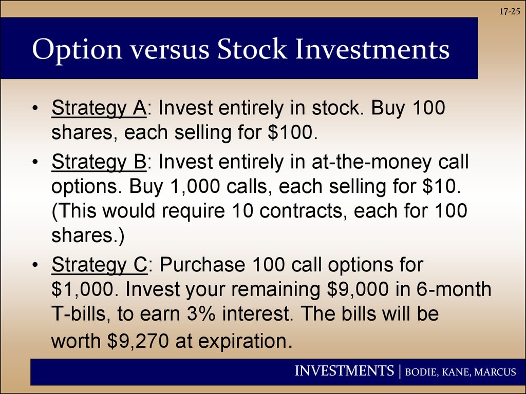 Option versus Stock Investments