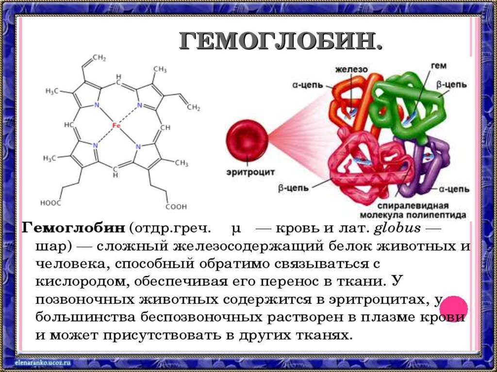 Какое соединение молекулы гемоглобина с кислородом. Железо в гемоглобине. Структура железа в гемоглобине. Молекула гемоглобина. Гемоглобин содержит железо.