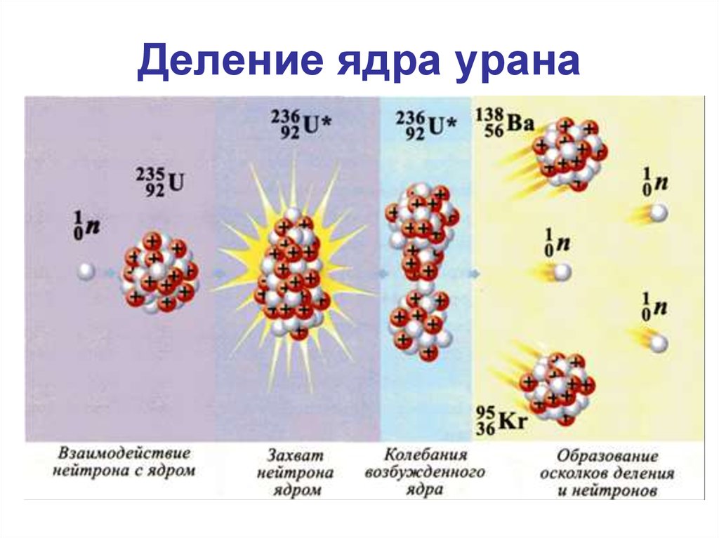 Ядерный распад атома. Цепная реакция деления ядер урана. Цепная ядерная реакция деления ядра урана схема. Цепная ядерная реакция урана 235. Ядерные реакции деление ядер урана.