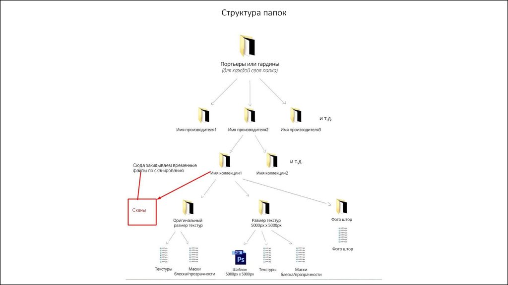 Структура папок. Структура папок проекта. Структура папок отдела. Структура папок в организации.