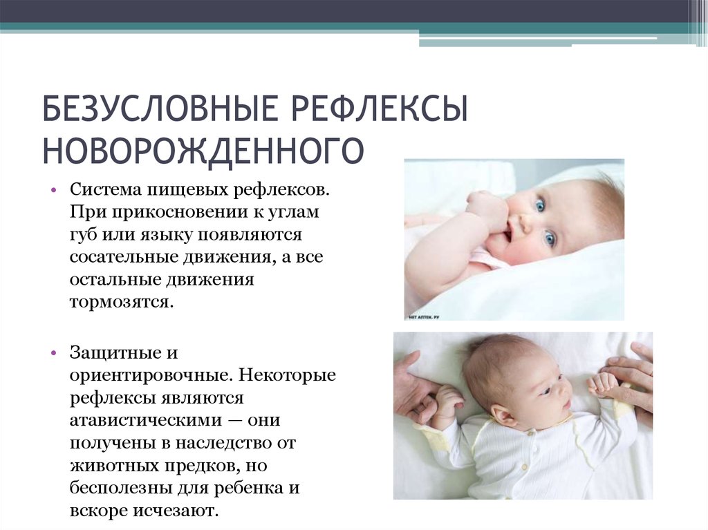 Врожденные рефлексы организма. Безусловные рефлексы сосательный рефлекс. Рефлексы новорожденности физиологические. Безусловные рефлексы новорожденного защитный. Врожденные рефлексы новорожденного ребенка.
