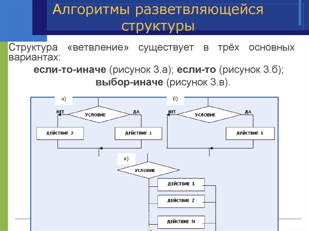 Основы алгоритмов. Основные алгоритмические конструкции разветвляющиеся алгоритмы. Структура алгоритмов разветвляющейся структуры. Основные базовые схемы алгоритмов. Структура ветвления алгоритма.