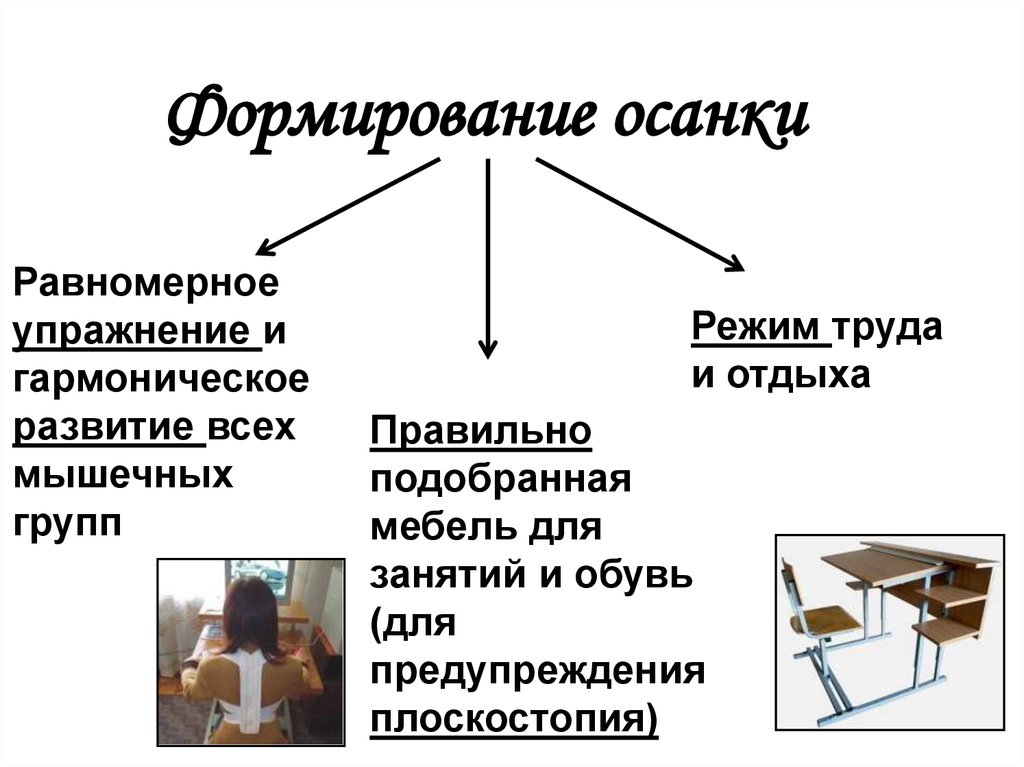 Равномерное занятие. Опорно-двигательного аппарата». Подбор мебели. Гармоническое развитие.