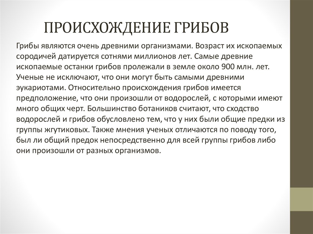 Грибы произошли от различных. Происхождение грибов. Гипотезы происхождения грибов. Происхождение грибов на земле. Схема возникновения грибов на земле.