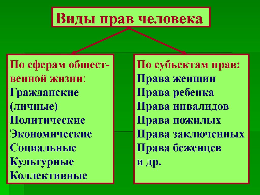 Классификация прав человека — Курсовые, контрольные, лабораторные