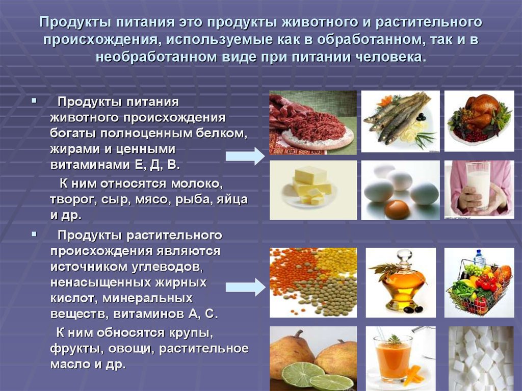 Особенности видов питания. Продукты растительного и животного происхождения. Растительные и животные продукты. Растительная и животная пища. Продукты растительного происхождения продукты.