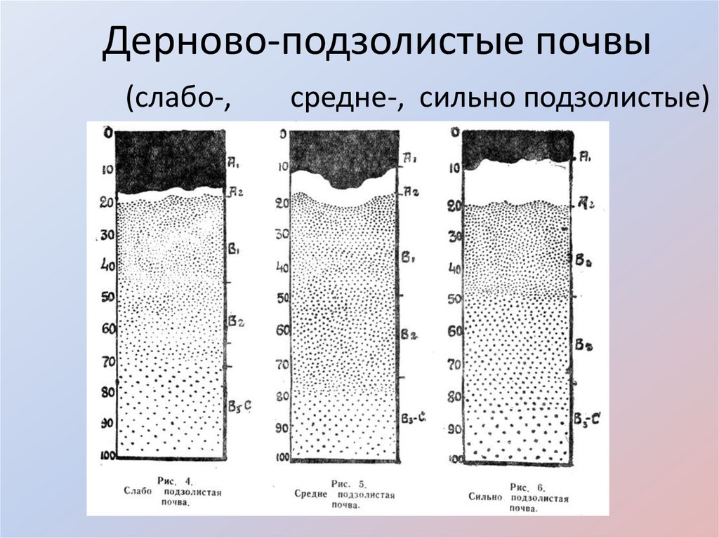 Мощность дерново подзолистых почв. Дерново-подзолистые почвы профиль схема. Строение дерново-подзолистых почв. Дерново-сильноподзолистые почвы профиль. Дерново-слабоподзолистая горизонты.