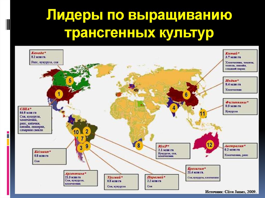 Какие страны выращивают. Страны выращивающие трансгенные растения. Карта трансгенных культур. Страны Лидеры по выращиванию культур. Страны Лидеры биотехнологии.