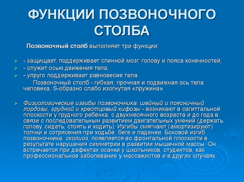 Функции позвоночника. Функции позвоночного столба. Позвоночный столб функции. Функции отделов позвоночного столба. Основные функции позвоночника.