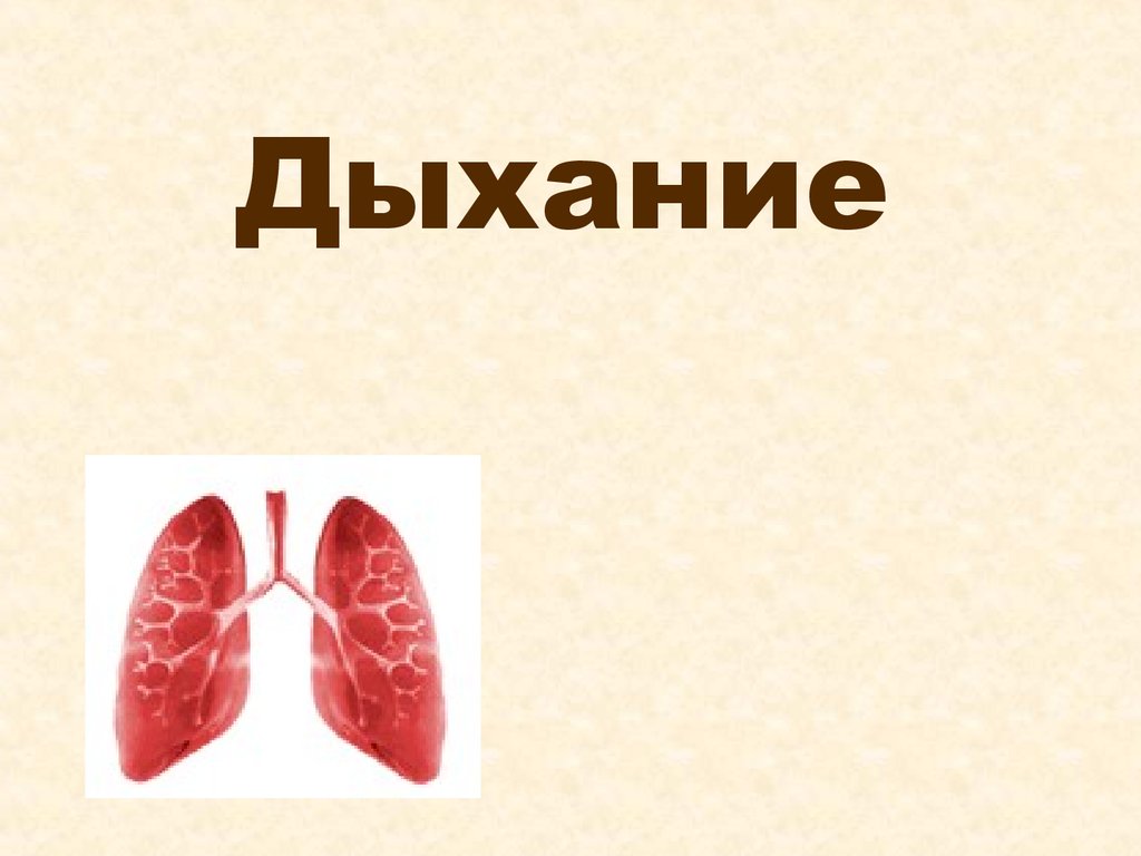 Рисунок процесс дыхания. Что представляет собой процесс дыхания. Осуществление процесса дыхания таблица. Процесс дыхания картинки. Дыхание шаблон для презентации.