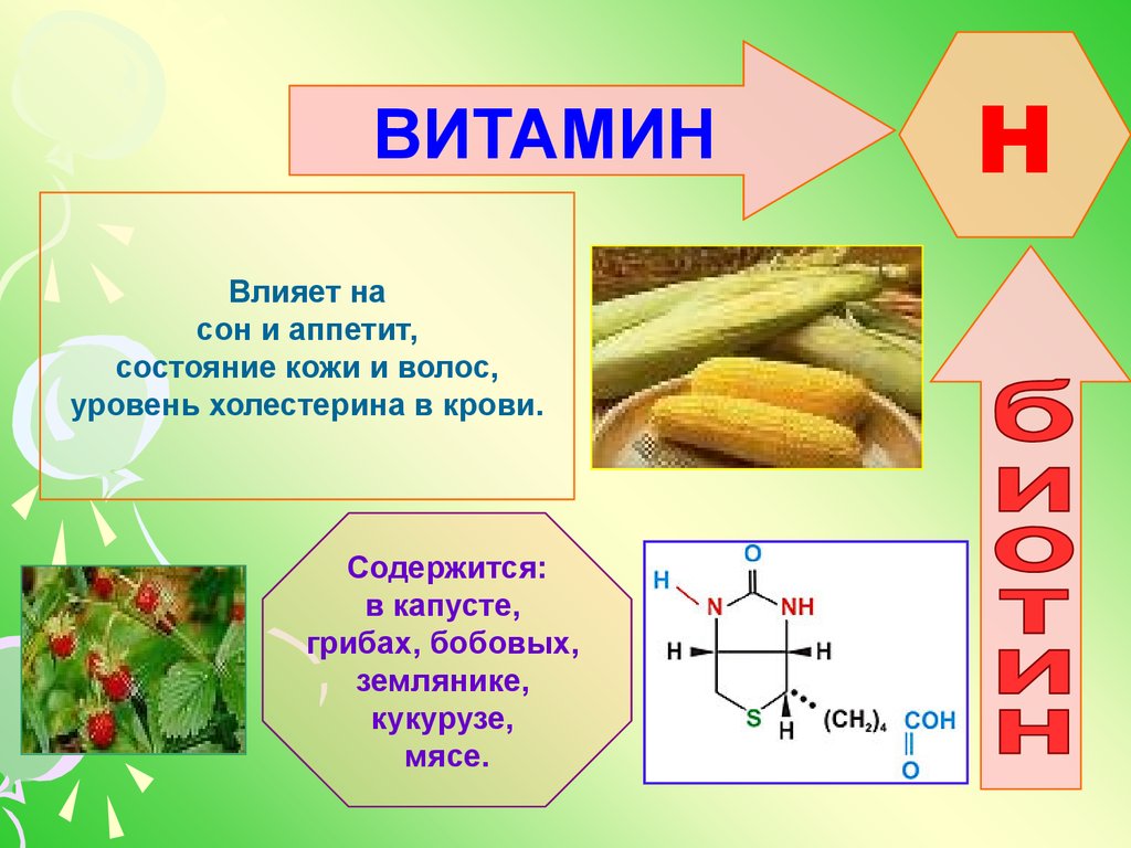 Витамин h презентация