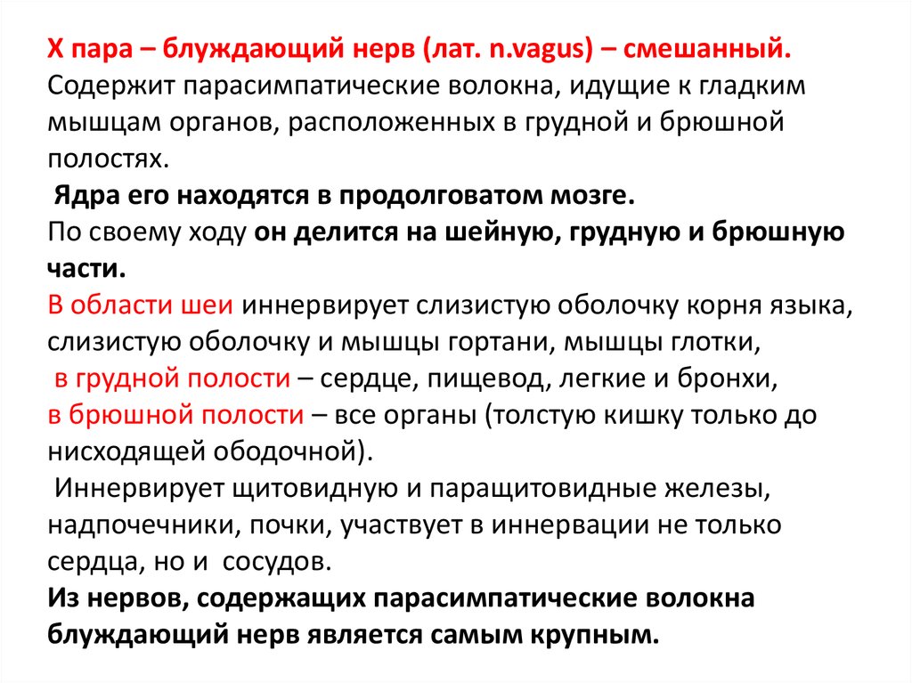 Блуждающий нерв парасимпатическая нервная. Дорсальное ядро блуждающего нерва функции. Блуждающий нерв пара. Роль ядер блуждающего нерва. Парасимпатическое ядро блуждающего нерва.