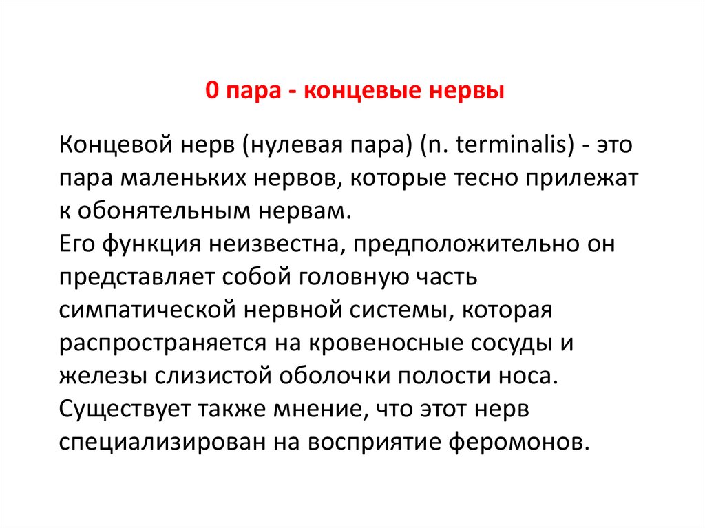 Функция пара. Нулевая пара черепных нервов. Концевой нерв. Концевой нерв 0 пара. Нулевой черепно мозговой нерв.