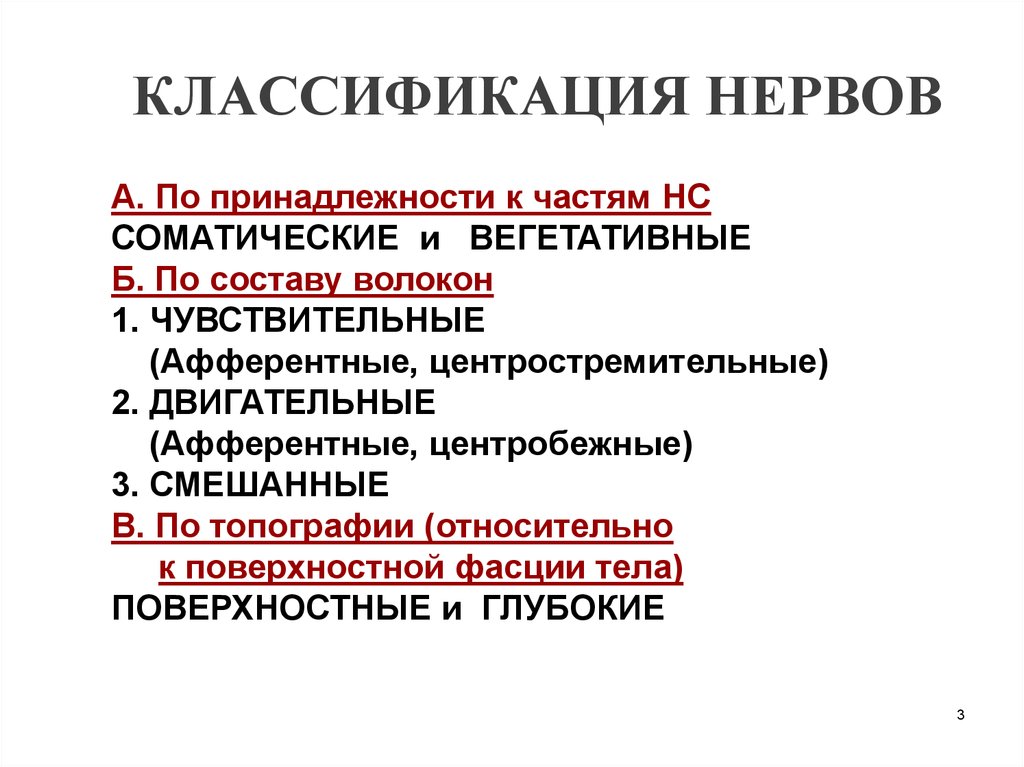 Функциональная анатомия периферической нервной системы презентация