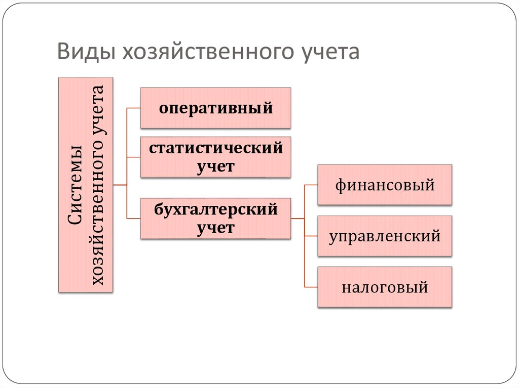 Виды хозяйственного учета кратко