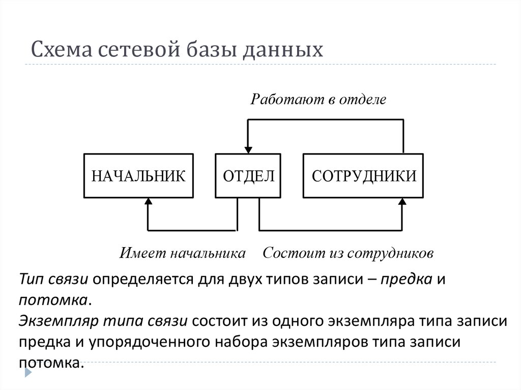 Схема сетевой модели данных