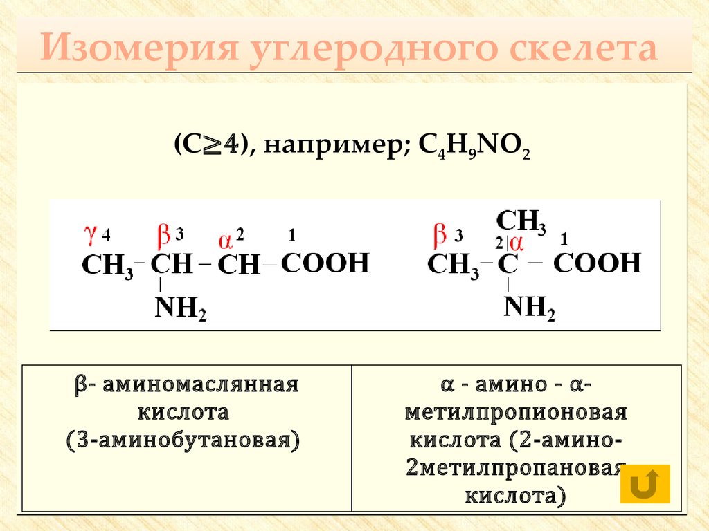 1 2 аминобутановая кислота. Формулы изомеров углеродного скелета. 2 Аминобутановая кислота формула.