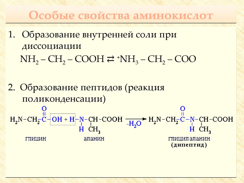 Аминокислоты в полипептиде соединены. Реакция поликонденсации аминокислот. Реакция поликонденсации аминокислот образование пептидов. Поликонденсация аминокислот в полипептид. Образование внутренних солей аминокислот.